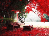 Cinderella ~ Long Cold Winter