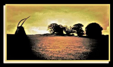 Steven Wilson ~ Remainder The Black Dog