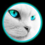 Profile picture of the Spirit